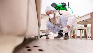 Best Bed Bug Extermination  in Whitmore Lake, MI